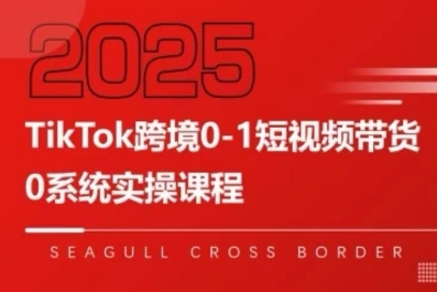 TikTok跨境0-1短视频带货，系统拆解TikTok跨境带货全链路，实现跨境可持续盈利-天行资源库