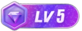 LV5 等级-LV5-天行资源库