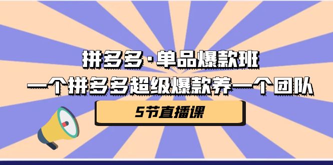 拼多多·单品爆款班,一个拼多多超级爆款养一个团队(5节直播课)-天行资源库