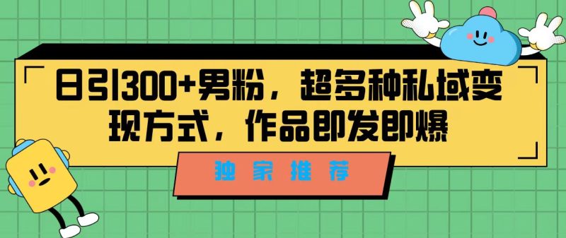 独家推荐!日引300+男粉,超多种私域变现方式,作品即发即报-天行资源库