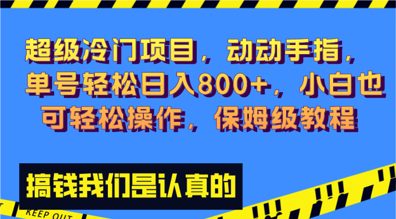 超级冷门项目,动动手指,单号轻松日入800+,小白也可轻松操作,保姆级教程-天行资源库