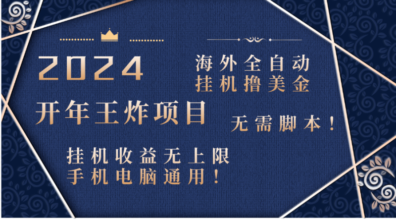 2024海外全自动挂机撸美金项目！手机电脑均可，无需脚本，收益无上限！-天行资源库