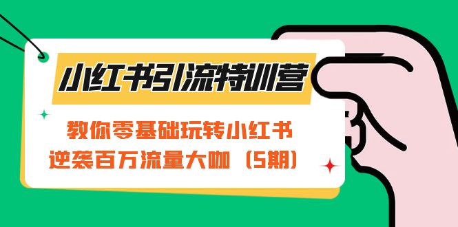 小红书引流特训营-第5期:教你零基础玩转小红书,逆袭百万流量大咖-天行资源库