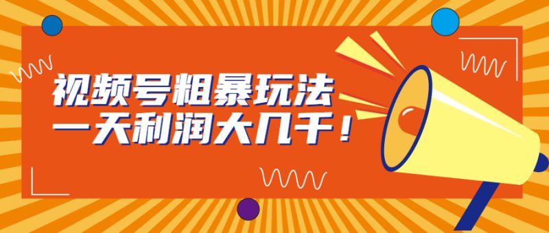 视频号粗暴玩法,一天利润大几千!-天行资源库