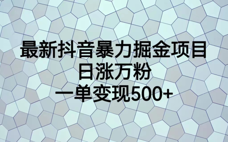 最火热的抖音暴力掘金项目，日涨万粉，多种变现方式，一单变现可达500+-天行资源库