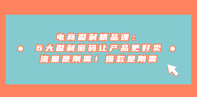 电商 盈利精品课:6大盈利 密码让产品更好卖,流量是刚需!爆款是刚需-天行资源库