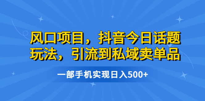 风口项目,抖音今日话题玩法,引流到私域卖单品,一部手机实现日入500+-天行资源库