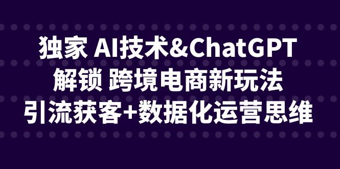 独家 AI技术&ChatGPT解锁 跨境电商新玩法,引流获客+数据化运营思维-天行资源库