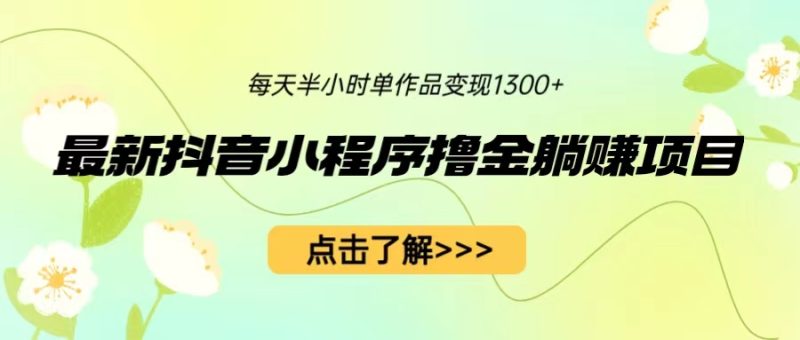 最新抖音小程序撸金躺赚项目,一部手机每天半小时,单个作品变现1300+-天行资源库