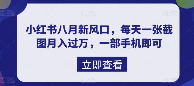 八月新风口,小红书虚拟项目一天收入1000+,实战揭秘-天行资源库