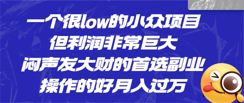 一个很low的小众项目,但利润非常巨大,闷声发大财的首选副业,月入过万-天行资源库