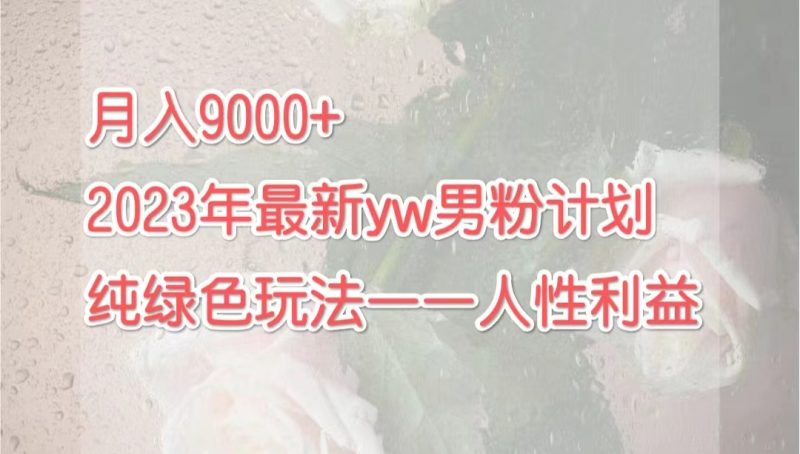 月入9000+2023年9月最新yw男粉计划绿色玩法——人性之利益-天行资源库