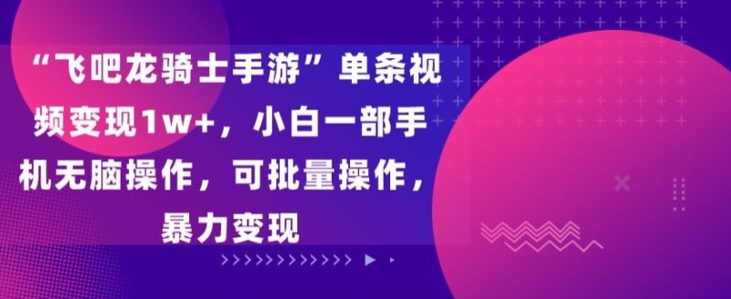 飞吧龙骑士手游”单条视频变现1w+,小白一部手机无脑操作,可批量操作,暴力变现-天行资源库