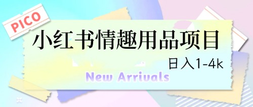 最新小红书情趣用品项目,日入1-4k-天行资源库