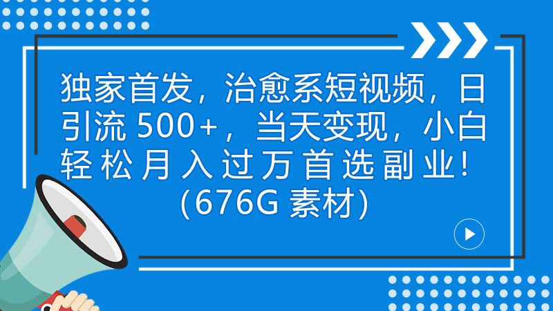 独家首发,治愈系短视频,日引流500+当天变现小白月入过万(附676G素材)-天行资源库