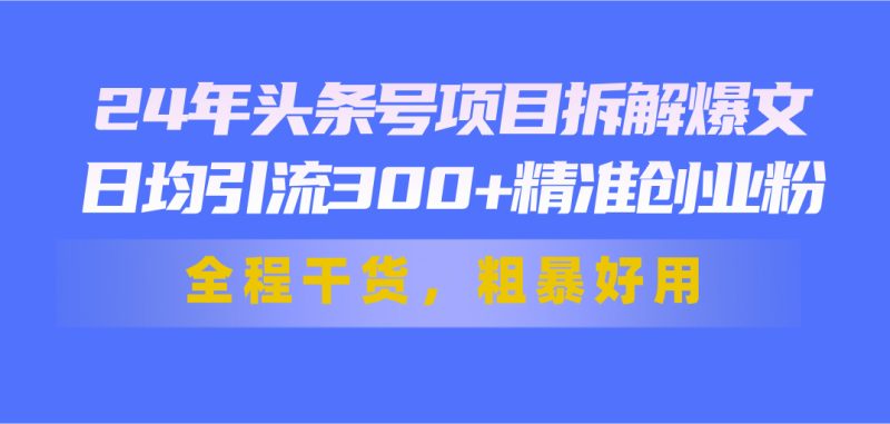 24年头条号项目拆解爆文,日均引流300+精准创业粉,全程干货,粗暴好用-天行资源库
