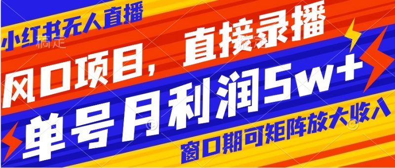 风口项目，小红书无人直播带货，直接录播，可矩阵，月入5w+-天行资源库