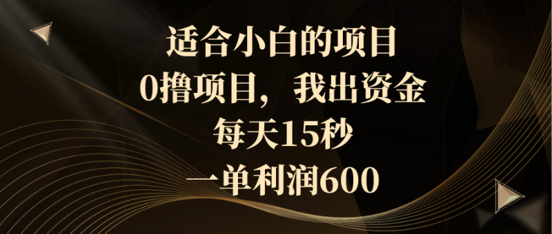 适合小白的项目，0撸项目，我出资金，每天15秒，一单利润600-天行资源库