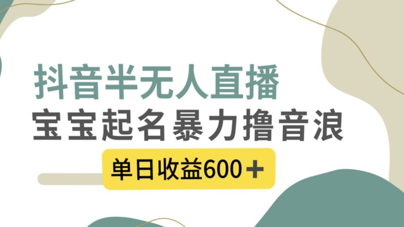 抖音半无人直播,宝宝起名,暴力撸音浪,单日收益600+-天行资源库