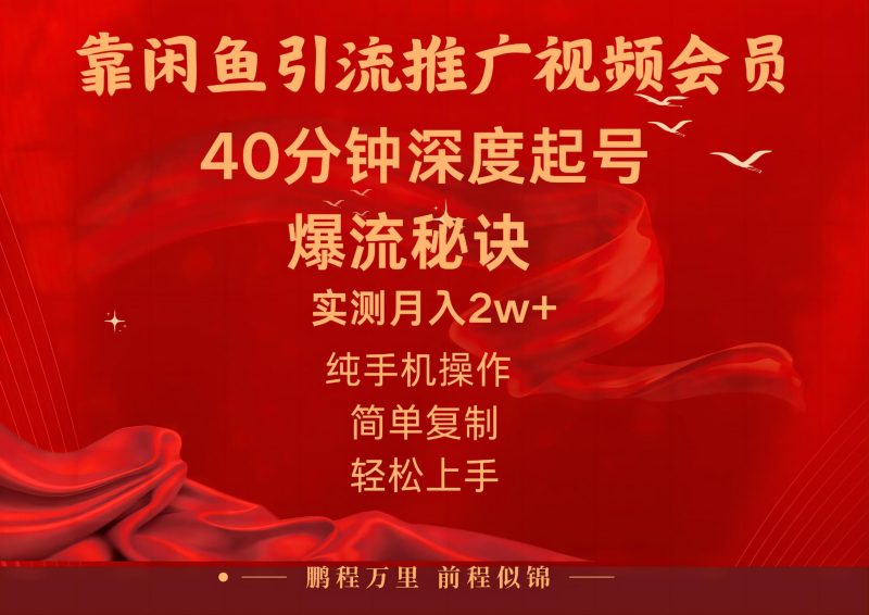 闲鱼暴力引流推广视频会员，能做到日入2W+，操作简单-天行资源库