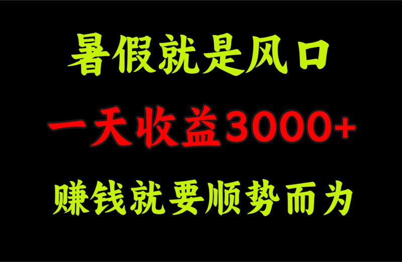 一天收益3000+ 赚钱就是顺势而为,暑假就是风口-天行资源库