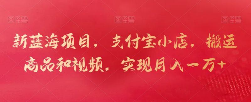 新蓝海项目,支付宝小店,搬运商品和视频,实现月入一万+-天行资源库
