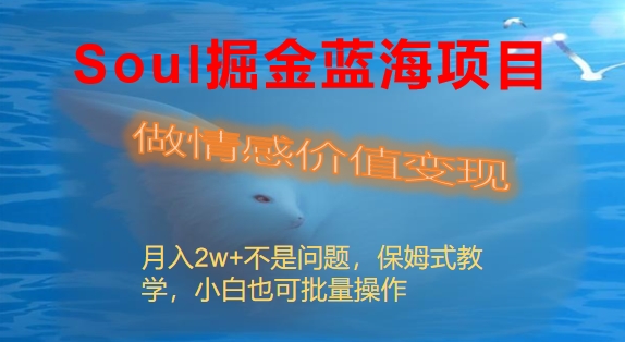 Soul掘金蓝海项目细分赛道,做情感价值变现,月入2w+不是问题-天行资源库