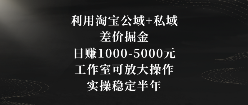 利用淘宝公域+私域差价掘金,日赚1000-5000元,工作室可放大操作,实操…-天行资源库
