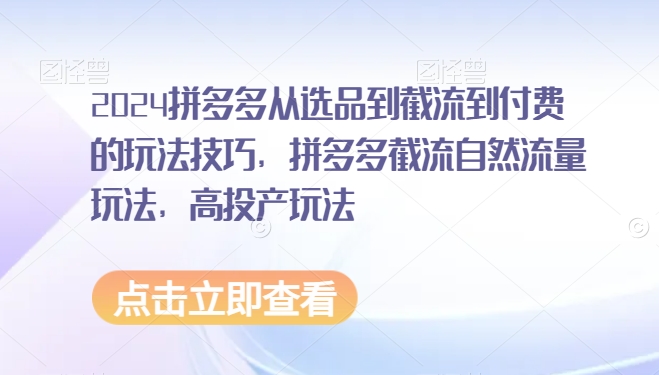 2024拼多多从选品到截流到付费的玩法技巧,拼多多截流自然流量玩法,高投产玩法-天行资源库