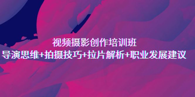 视频摄影创作培训班,导演思维+拍摄技巧+拉片解析+职业发展建议-天行资源库