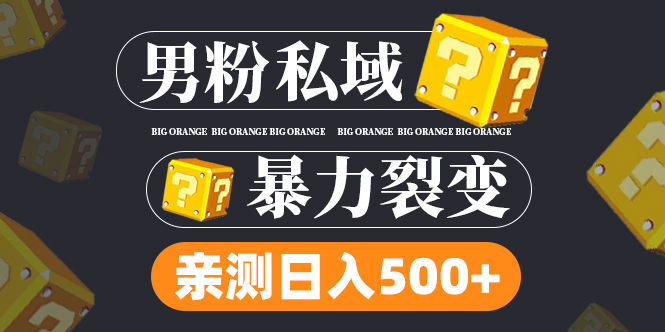 男粉项目,一个作品变现1000+,新渠道新玩法,一部手机实现月入过万-天行资源库