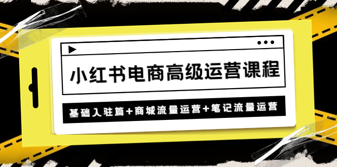 小红书电商高级运营课程:基础入驻篇+商城流量运营+笔记流量运营-天行资源库