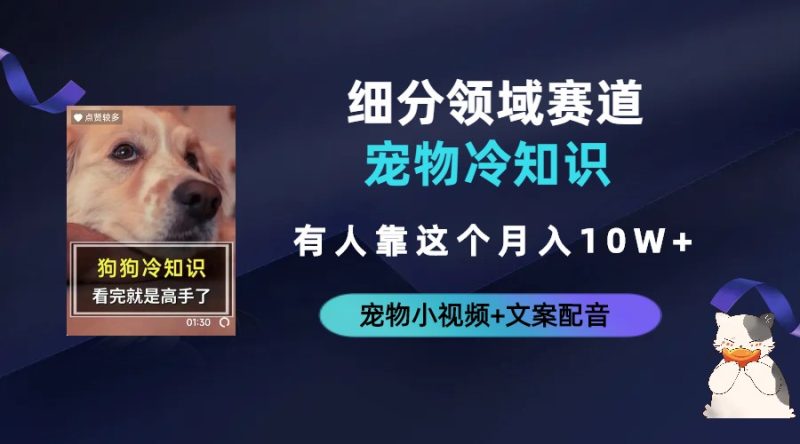 不起眼的抖音细分赛道-宠物冷知识,一段宠物视频配文案,有人靠这个月入10w-天行资源库