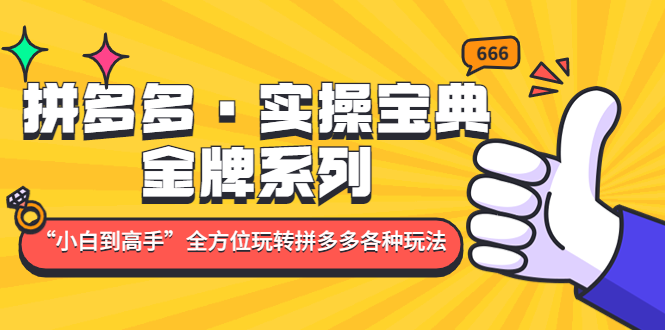拼多多·实操宝典:金牌系列“小白到高手”带你全方位玩转拼多多各种玩法-天行资源库