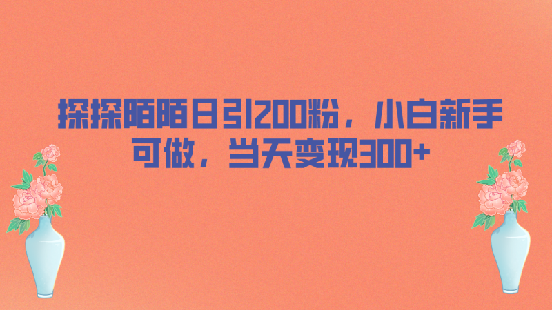 探探陌陌日引200粉，小白新手可做，当天就能变现300+-天行资源库
