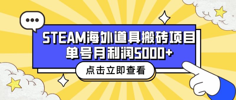 收费6980的Steam海外道具搬砖项目，单号月收益5000+全套实操教程-天行资源库