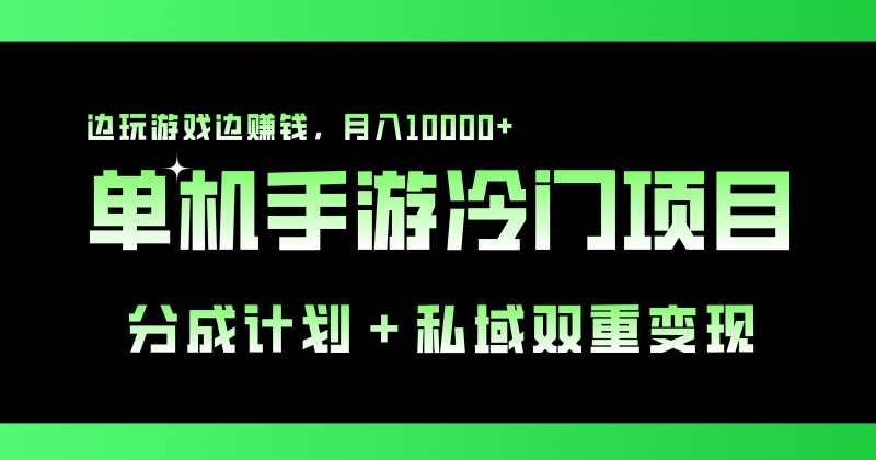 单机手游冷门赛道,双重变现渠道,边玩游戏边赚钱,月入1w+-天行资源库
