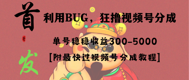 全网独家首发,视频号BUG,超短期项目,单号每日净收益300-5000!-天行资源库