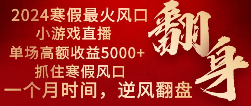 2024年最火寒假风口项目 小游戏直播 单场收益5000+抓住风口 一个月直接提车-天行资源库