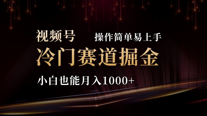 2024视频号冷门赛道掘金,操作简单轻松上手,小白也能月入1000+-天行资源库