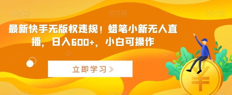 最新快手无版权违规!蜡笔小新无人直播,日入600+,小白可操作-天行资源库