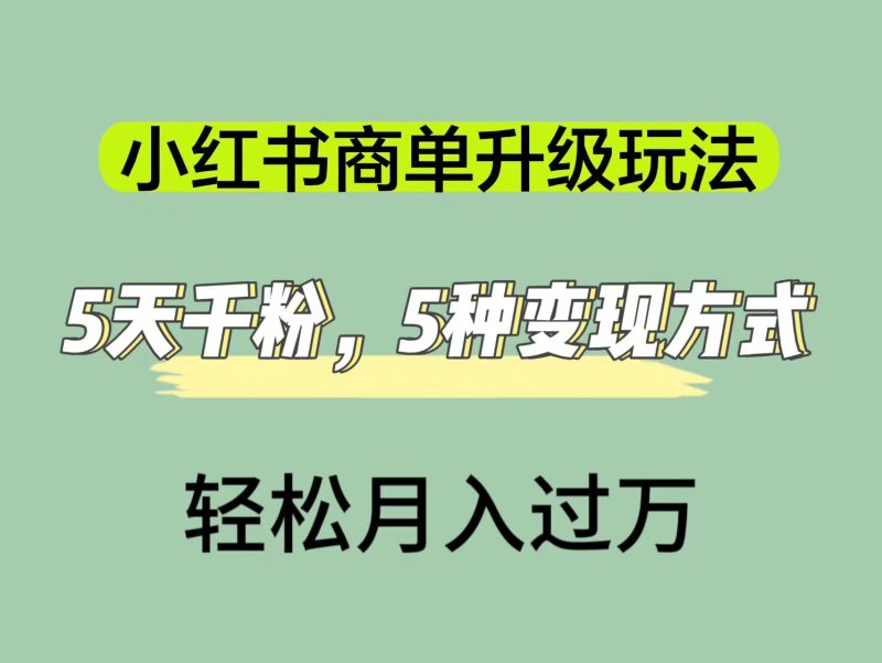 小红书商单升级玩法,5天千粉,5种变现渠道,轻松月入1万+-天行资源库