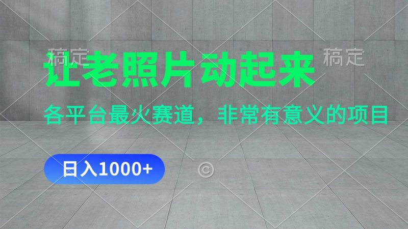让老照片动起来，一天变现1000+，各平台最火赛道，看完就会-天行资源库