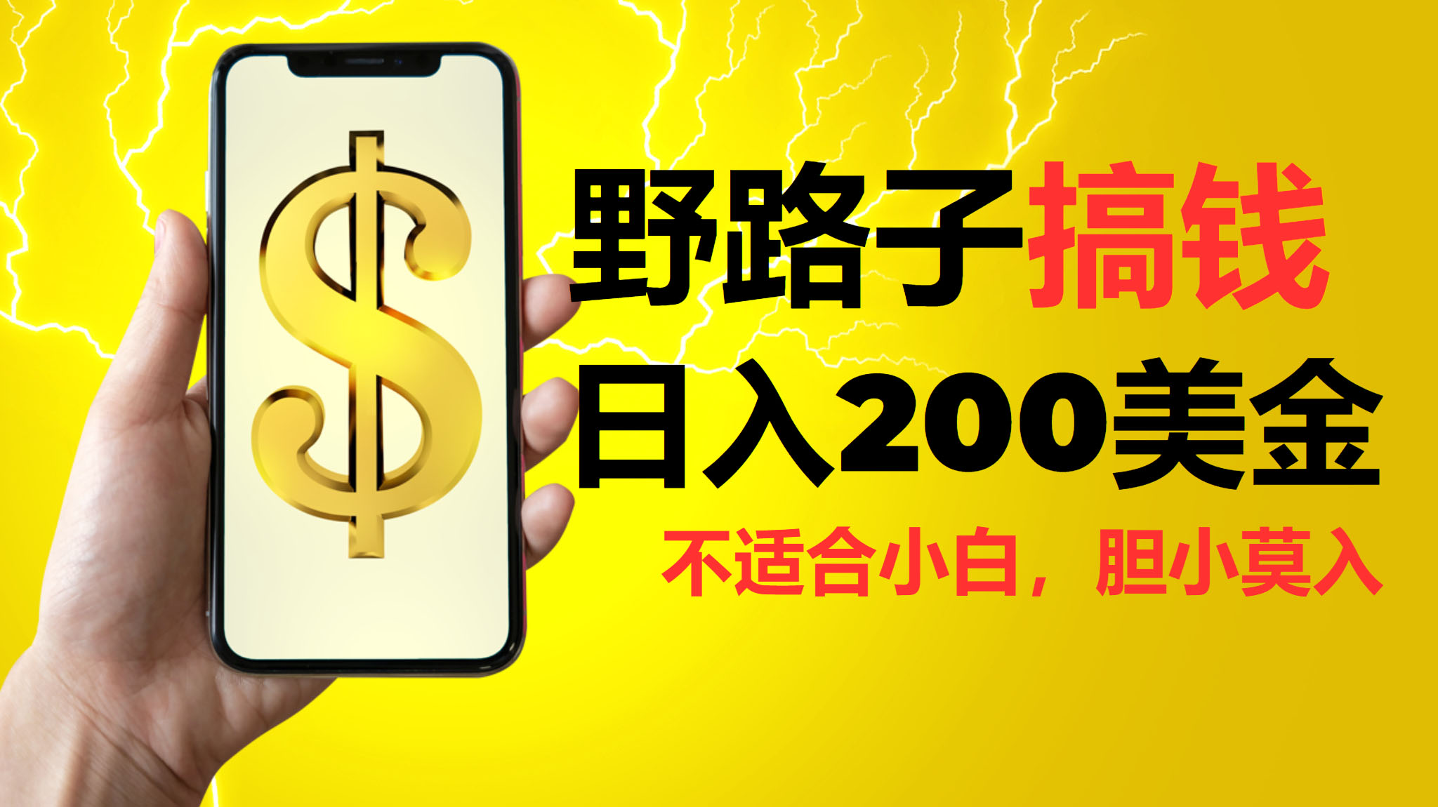 挂机野路子搞钱,日入200美金,路子很野,小白莫入-天行资源库