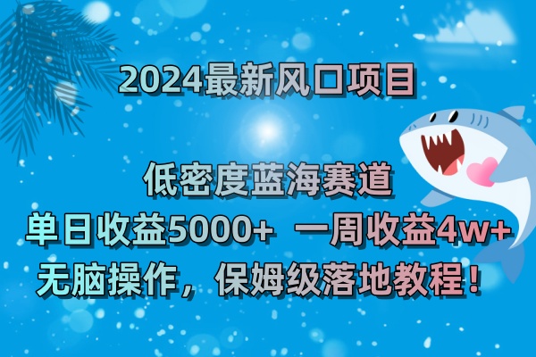 2024最新风口项目 低密度蓝海赛道,日收益5000+周收益4w+ 无脑操作-天行资源库